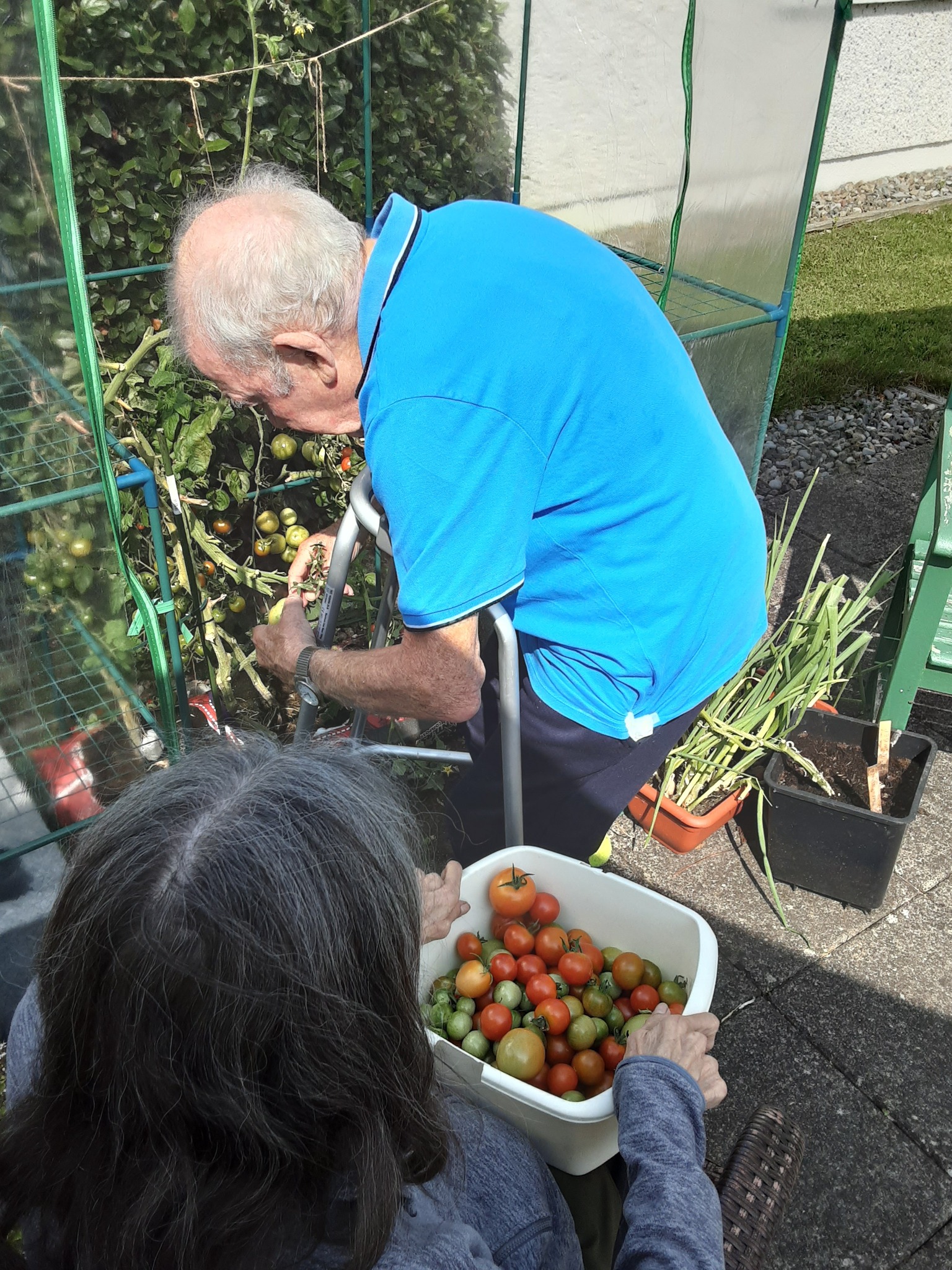 a resident at Rathkeevan Nursing home working on plants in the garden