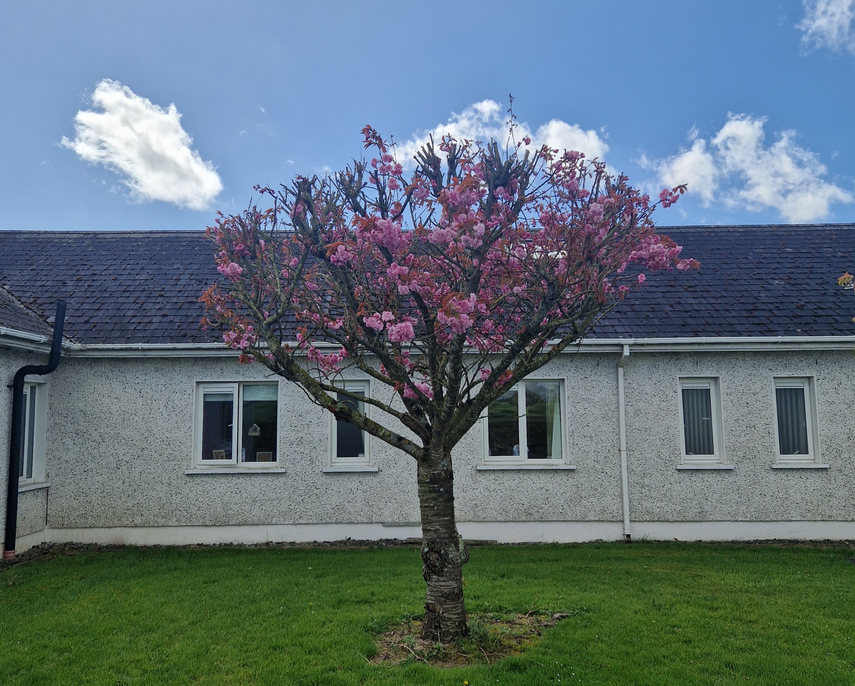 outside view of Rathkeevan Nursing Home