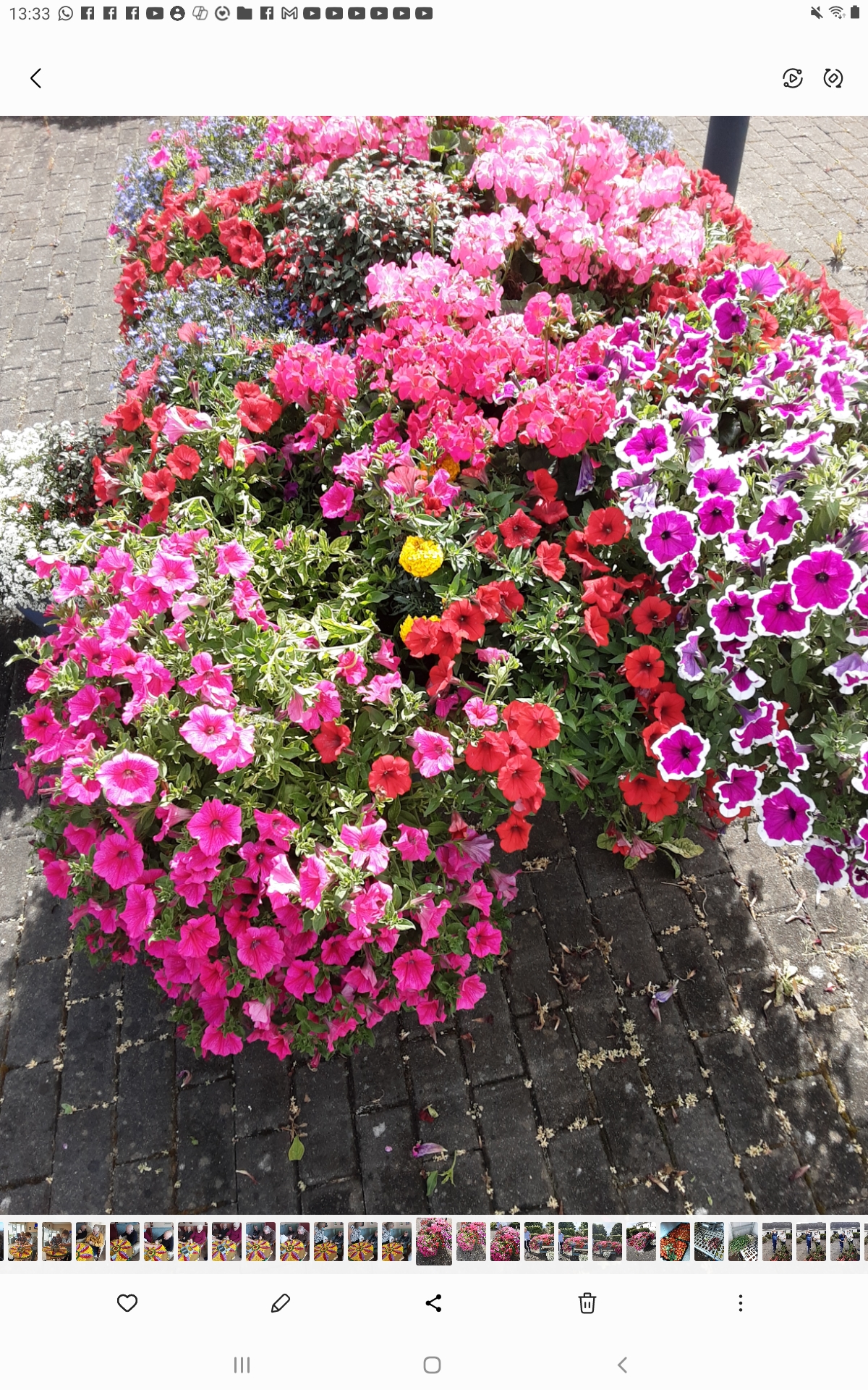 Flowers Flowers on patio