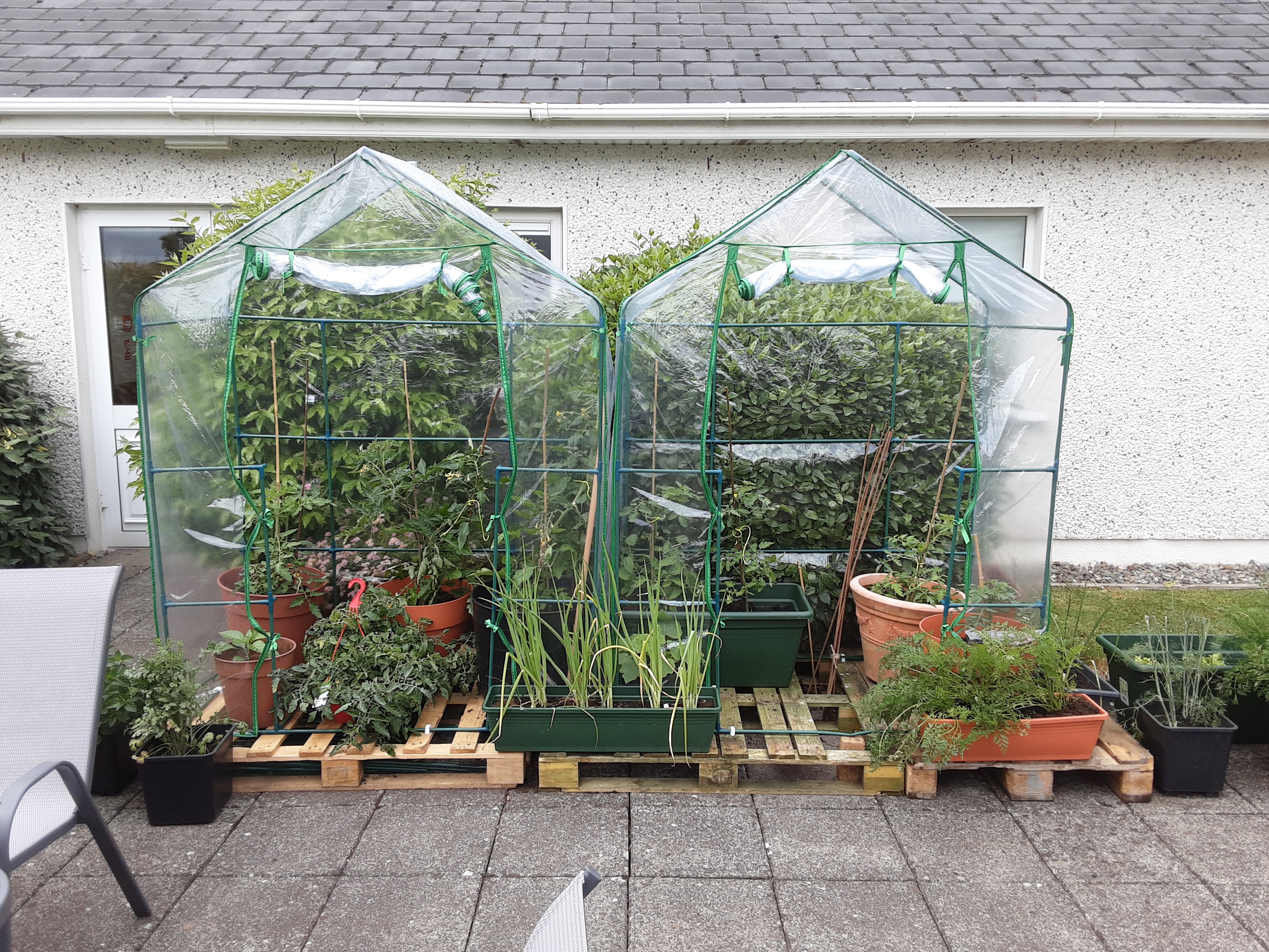 Greenhouse