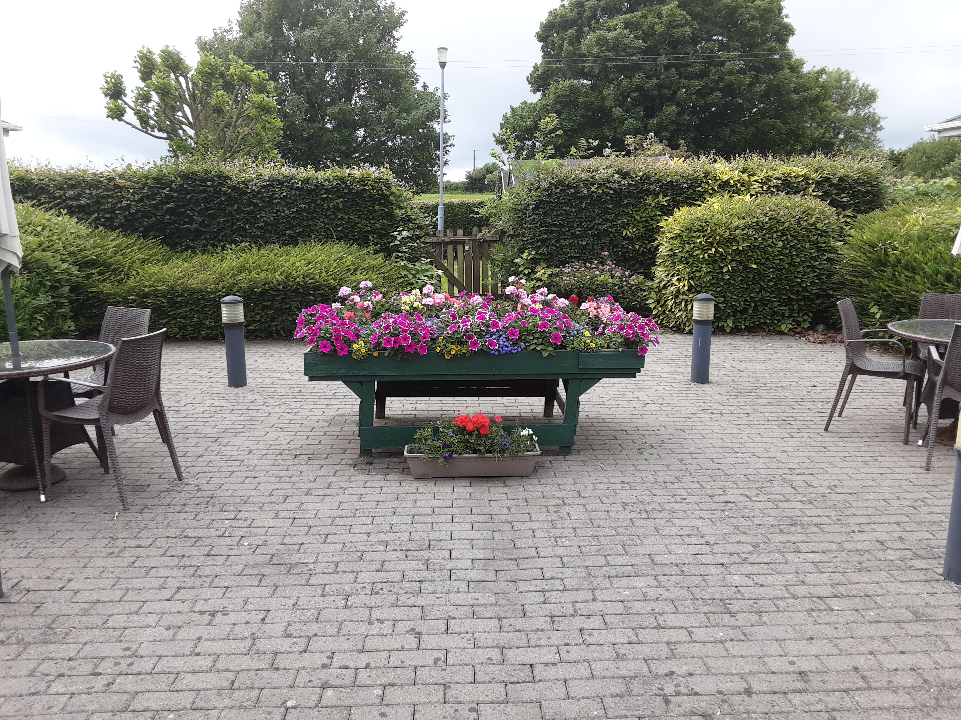 Flower Bed